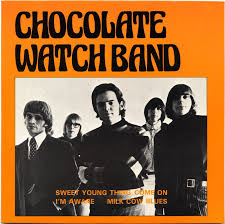 Chocolate Watch Band